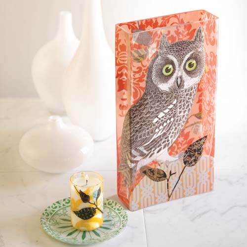GLASS VASE Orange Owl(클래스 오렌지 부엉이 화병)